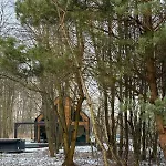 Greenwood I - Dom Z Jacuzzi I Furtka Do Lasu * Tuliska
